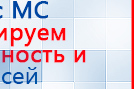 Электрод Скэнар - лицевой двойной Пешки купить в Симферополе, Электроды Скэнар купить в Симферополе, Скэнар официальный сайт - denasvertebra.ru